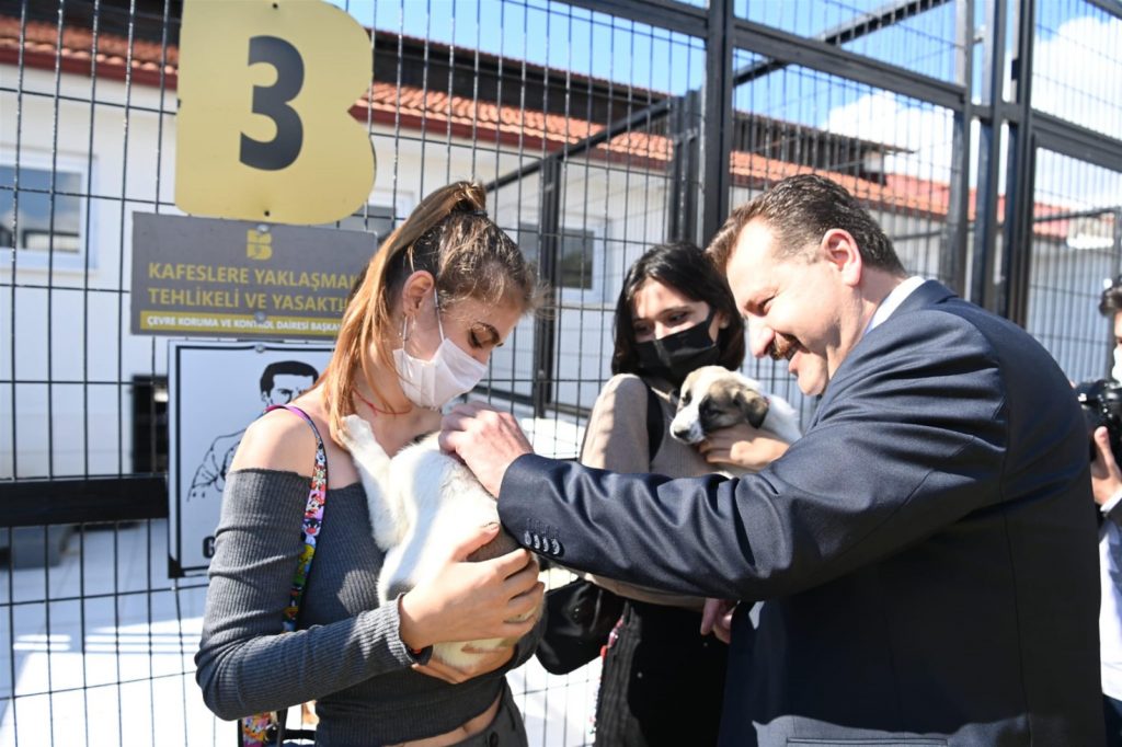 “Satın alma sahiplen”