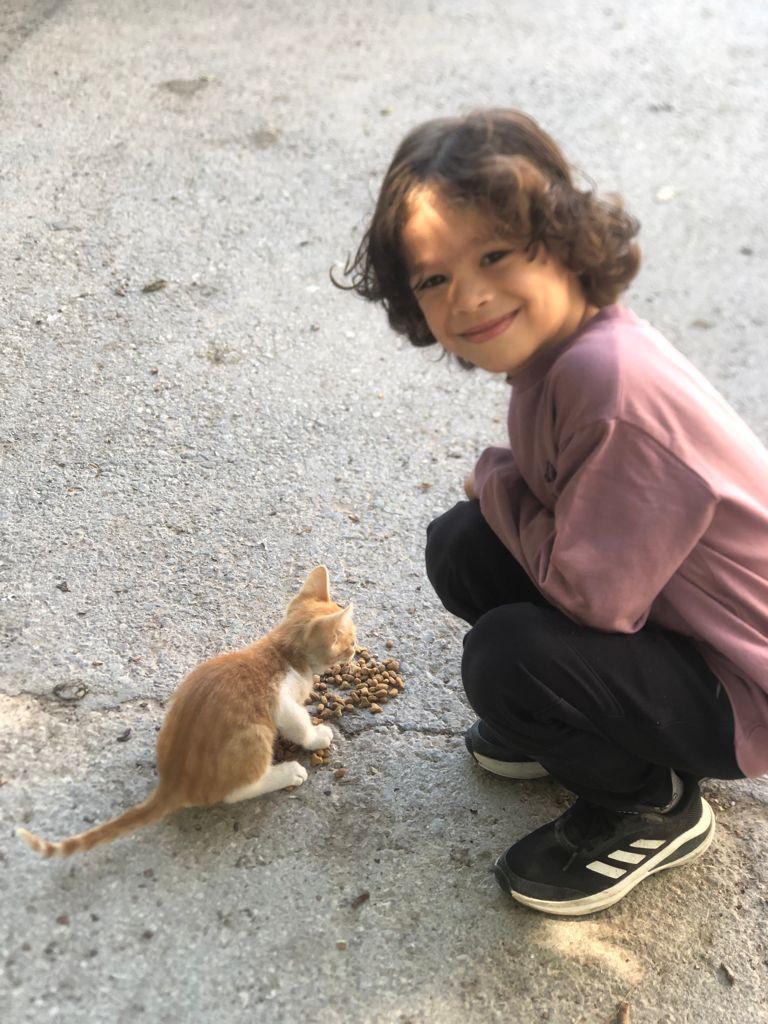 Sen de ‘Var Mısın?’ bir kap mama bir kap su bırakmaya