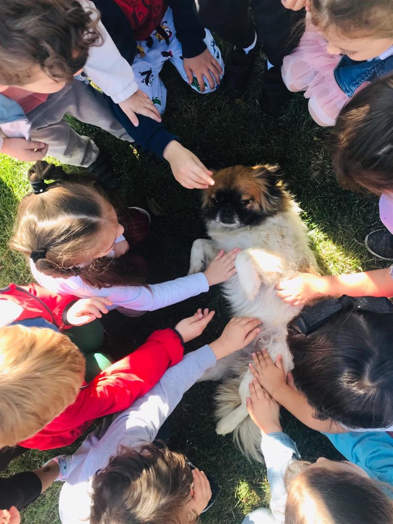 Sahiplenmek sizden  Destek Büyükşehir’den