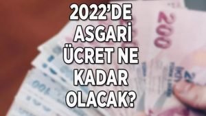 Asgari Ücret Kaç Para Olacak? 2022 Asgari Ücret Zam Oranı