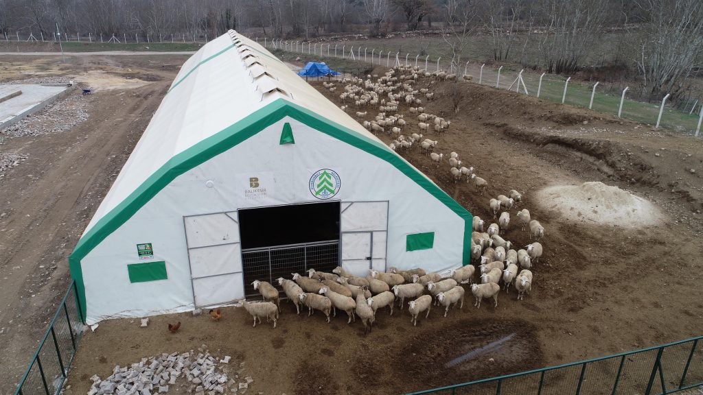 Büyükşehir’den 2 bin 750 damızlık hayvan desteği