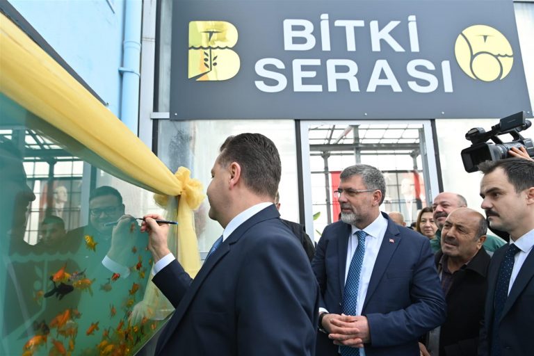 ARITTIĞI SUDA AKVARYUM BALIĞI BESLENİYOR