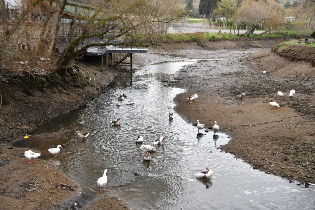 Canlılık ve Verimlilik İçin Balçık Temizliği Şart