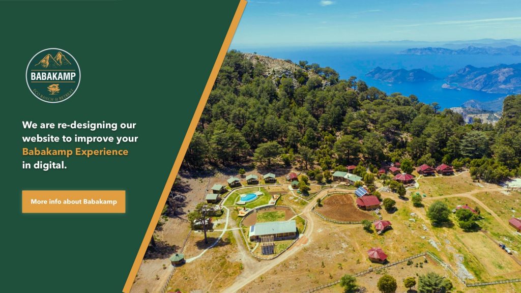 Babakamp: Gökyüzünde Adrenalin Dolu Yamaç Paraşütü Macerası