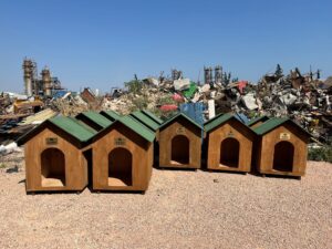 BANDIRMA BELEDİYESİ’NDEN PATİLİ DOSTLARA SICAK BİR YUVA