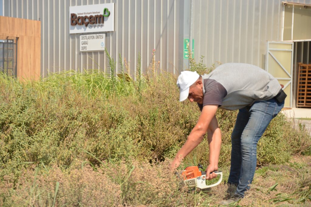 BAÇEM yetiştirdiği bitkilerle bitki bilimine örnek oluyor