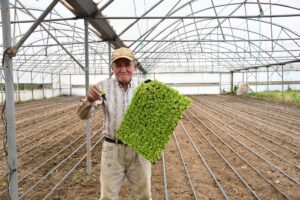 Büyükşehir desteğiyle topraklar bereketlendi